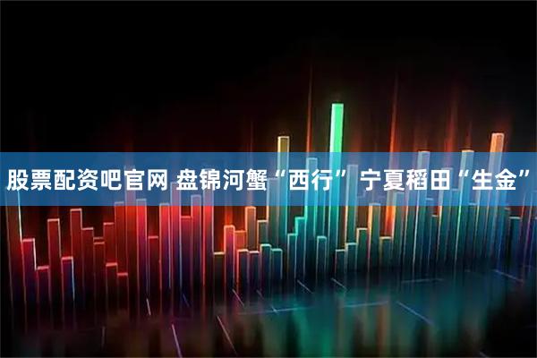 股票配资吧官网 盘锦河蟹“西行” 宁夏稻田“生金”