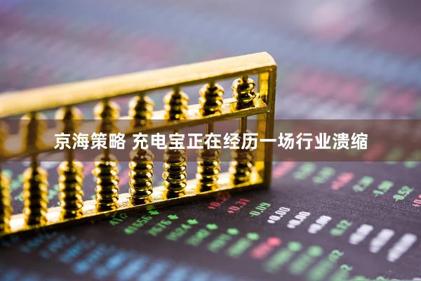 京海策略 充电宝正在经历一场行业溃缩