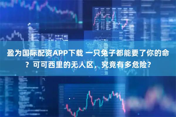 盈为国际配资APP下载 一只兔子都能要了你的命？可可西里的无人区，究竟有多危险？