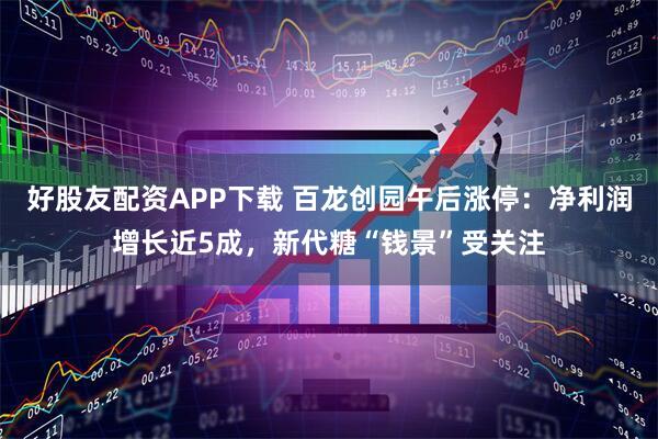 好股友配资APP下载 百龙创园午后涨停：净利润增长近5成，新代糖“钱景”受关注
