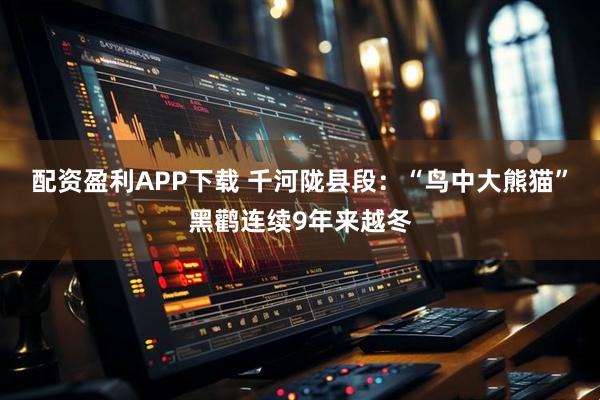 配资盈利APP下载 千河陇县段：“鸟中大熊猫”黑鹳连续9年来越冬