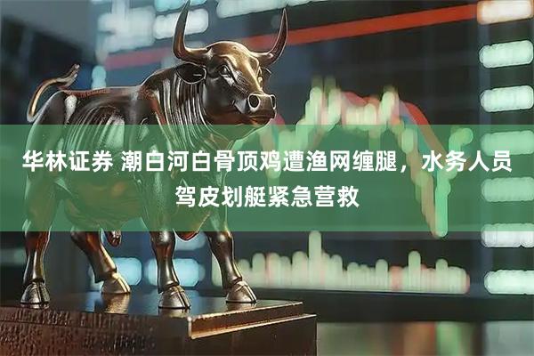 华林证券 潮白河白骨顶鸡遭渔网缠腿，水务人员驾皮划艇紧急营救