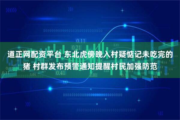 道正网配资平台 东北虎傍晚入村疑惦记未吃完的猪 村群发布预警通知提醒村民加强防范
