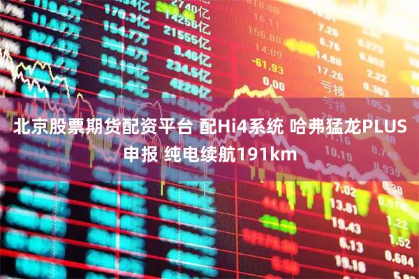 北京股票期货配资平台 配Hi4系统 哈弗猛龙PLUS申报 纯电续航191km