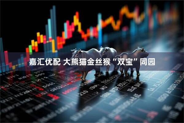 嘉汇优配 大熊猫金丝猴“双宝”同园