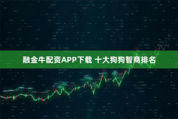 融金牛配资APP下载 十大狗狗智商排名