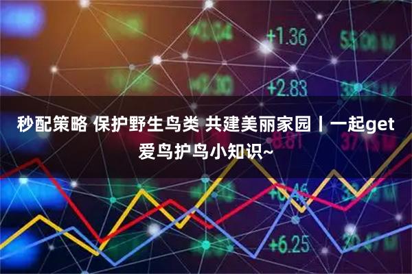 秒配策略 保护野生鸟类 共建美丽家园丨一起get爱鸟护鸟小知识~