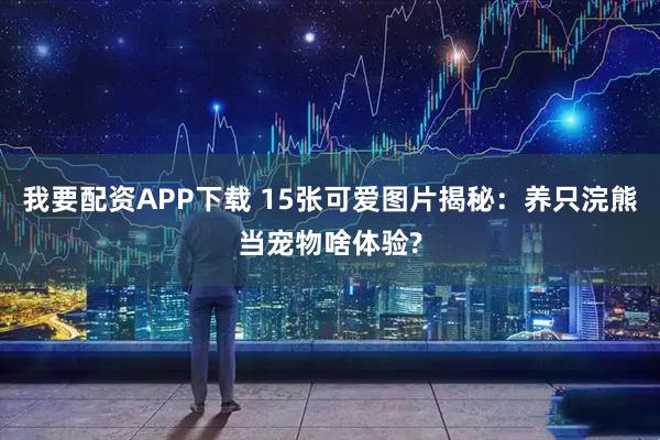 我要配资APP下载 15张可爱图片揭秘：养只浣熊当宠物啥体验?