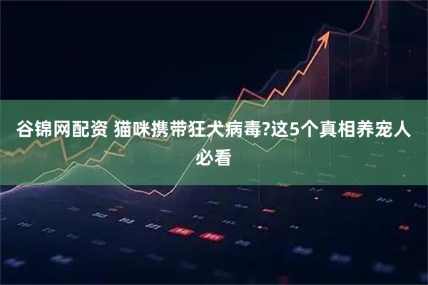 谷锦网配资 猫咪携带狂犬病毒?这5个真相养宠人必看
