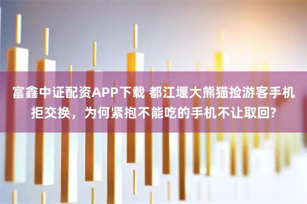 富鑫中证配资APP下载 都江堰大熊猫捡游客手机拒交换，为何紧抱不能吃的手机不让取回?