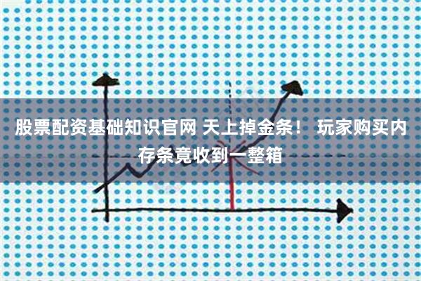 股票配资基础知识官网 天上掉金条！ 玩家购买内存条竟收到一整箱